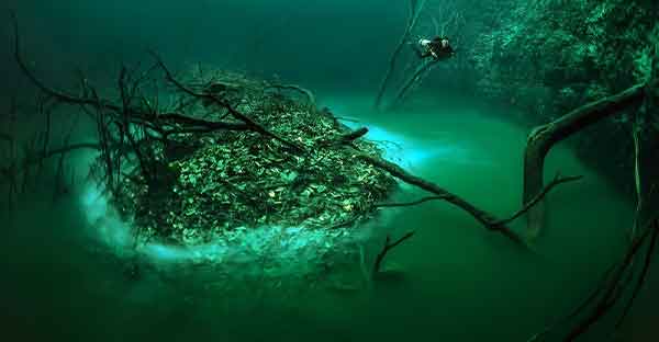 Cenote Angelita Underwater River