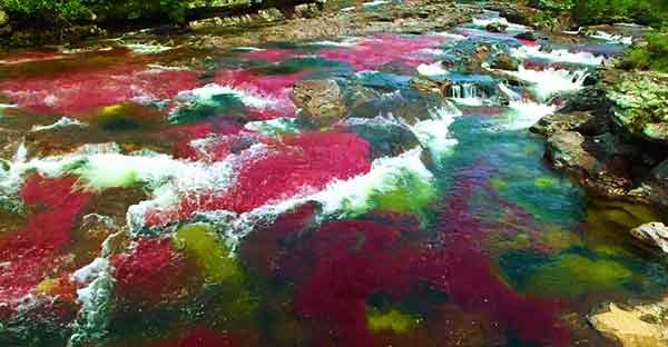 Rainbow river